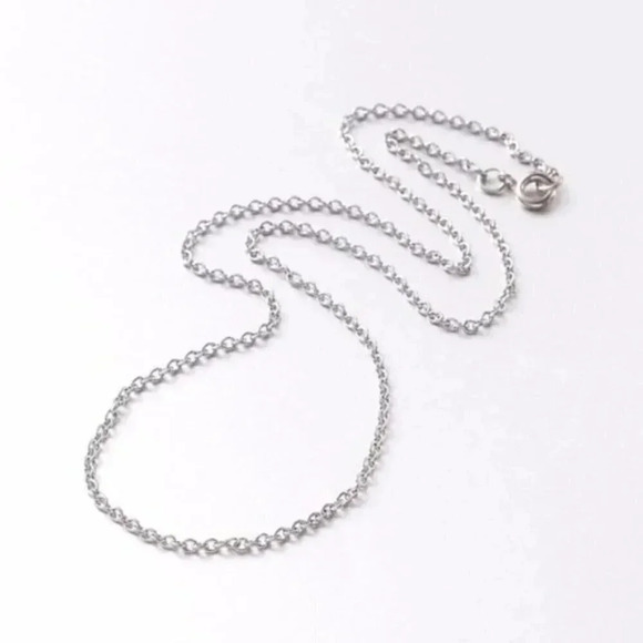 Surgical Stainless Steel 28" Rolo Chain Necklace - Picture 1 of 2